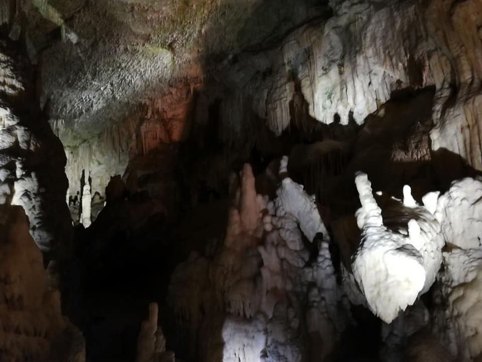 Postojnska jama